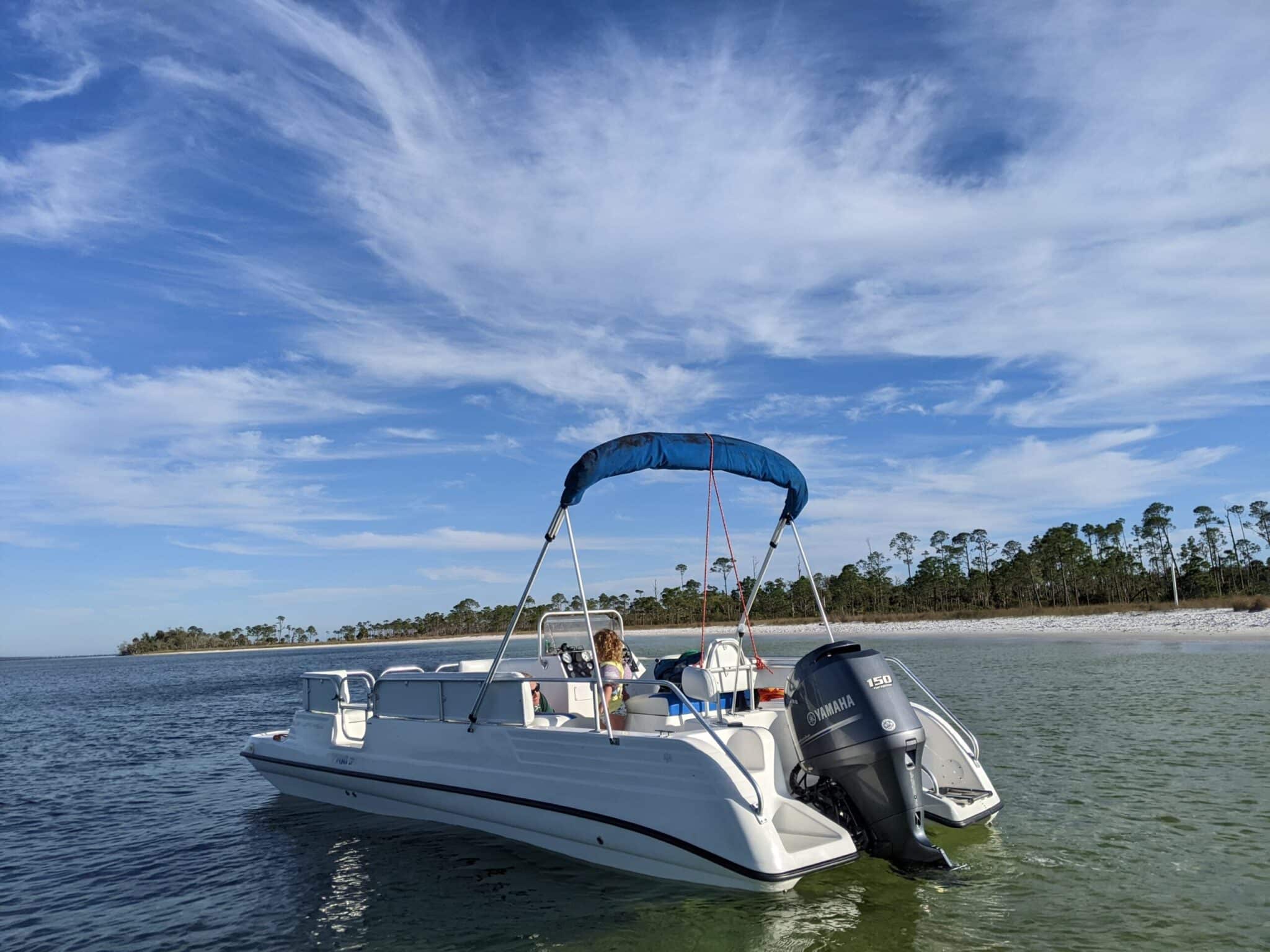 Flippin' Awesome Adventures Boat Tours in the Gulf of Mexico | Panama City Beach, Florida Dolphin Tours, Snorkeling Excursions, & Boat Trips led by Captain Chris, a marine biologist