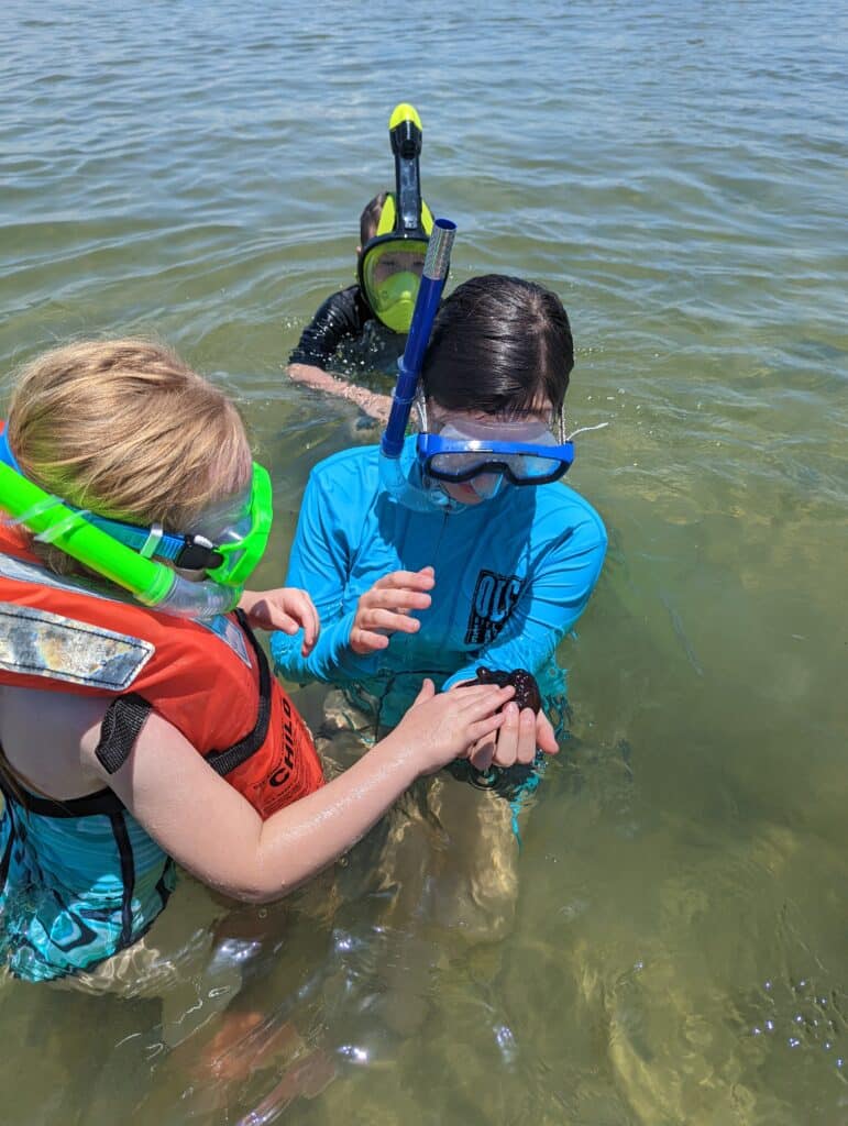 Flippin' Awesome Adventures Kid Friendly Snorkeling Tours in the Gulf of Mexico | Panama City Beach, Florida Dolphin Tours, Snorkeling Excursions, & Boat Trips led by Captain Chris, a marine biologist