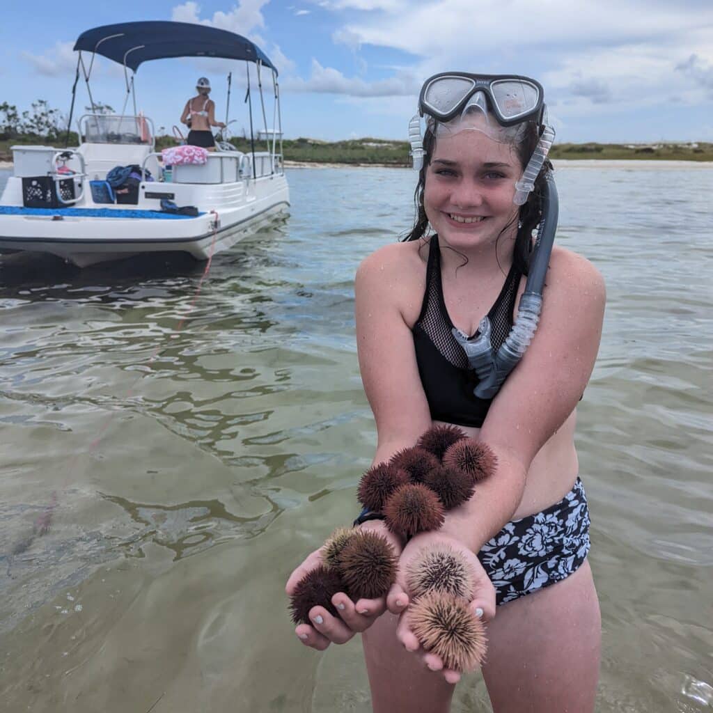 Flippin' Awesome Adventures Kid Friendly Snorkeling Tours in the Gulf of Mexico | Panama City Beach, Florida Dolphin Tours, Snorkeling Excursions, & Boat Trips led by Captain Chris, a marine biologist