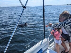 Flippin' Awesome Adventures Kid Friendly Boat Trips & Dolphin Tours in the Gulf of Mexico | Panama City Beach, Florida Dolphin Tours, Snorkeling Excursions, & Boat Trips led by Captain Chris, a marine biologist