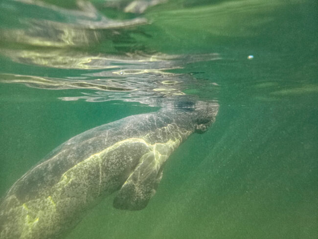 441510086_459277196705594_5405986990838079353_n