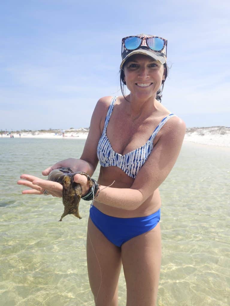Things to do at shell island Panama City beach