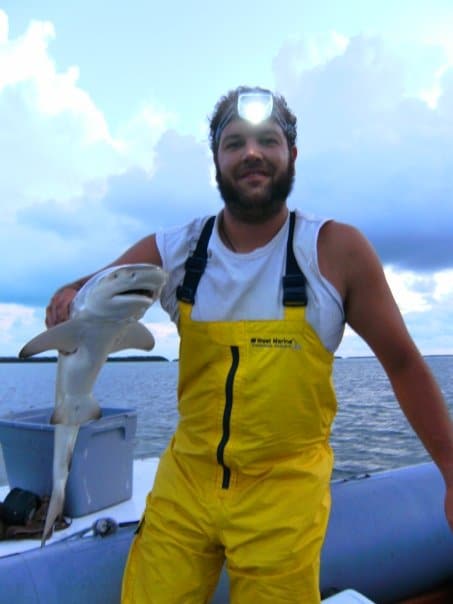 Bull Shark