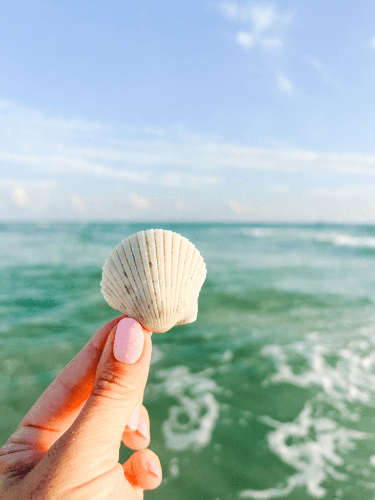 A hand holds a white scallop shell above turquoise waves, capturing shelling on Panama City Beach and Floridaâ€™s best Gulf Coast beaches.