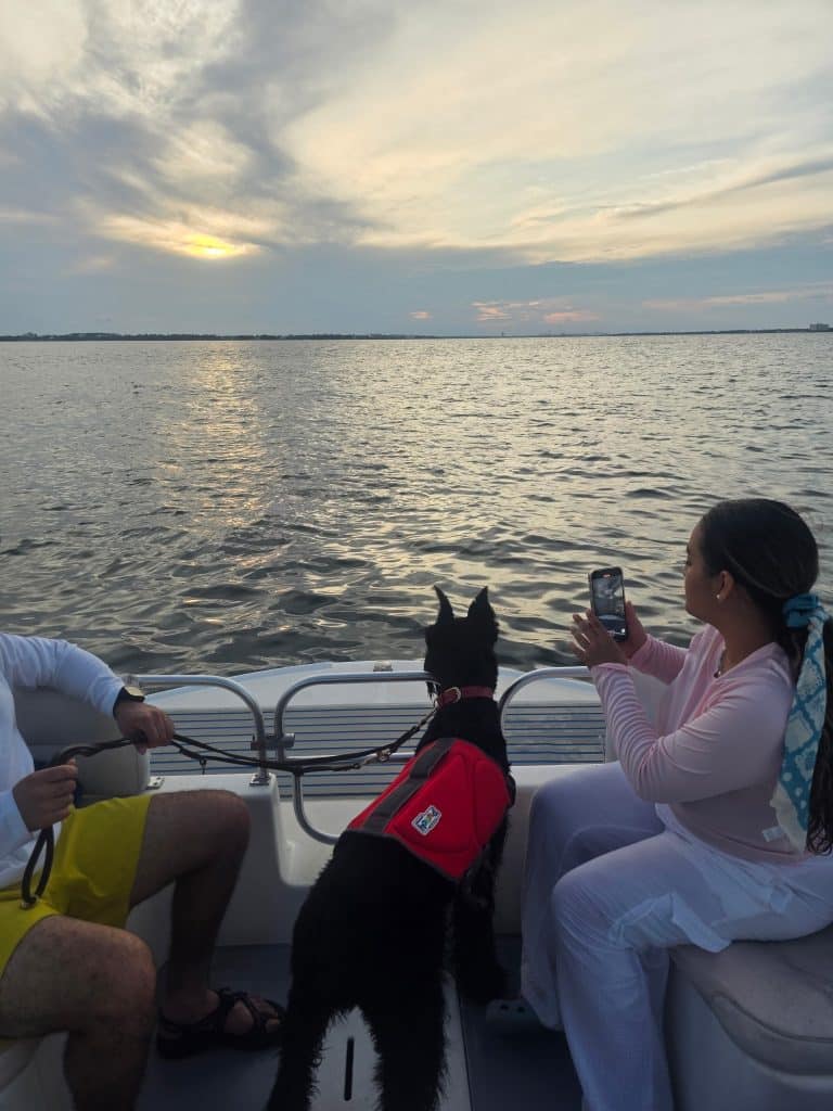Dog in a red vest enjoying a sunset boat tour with Flippin’ Awesome Adventures, one of the top dog friendly things to do in Panama City Beach.