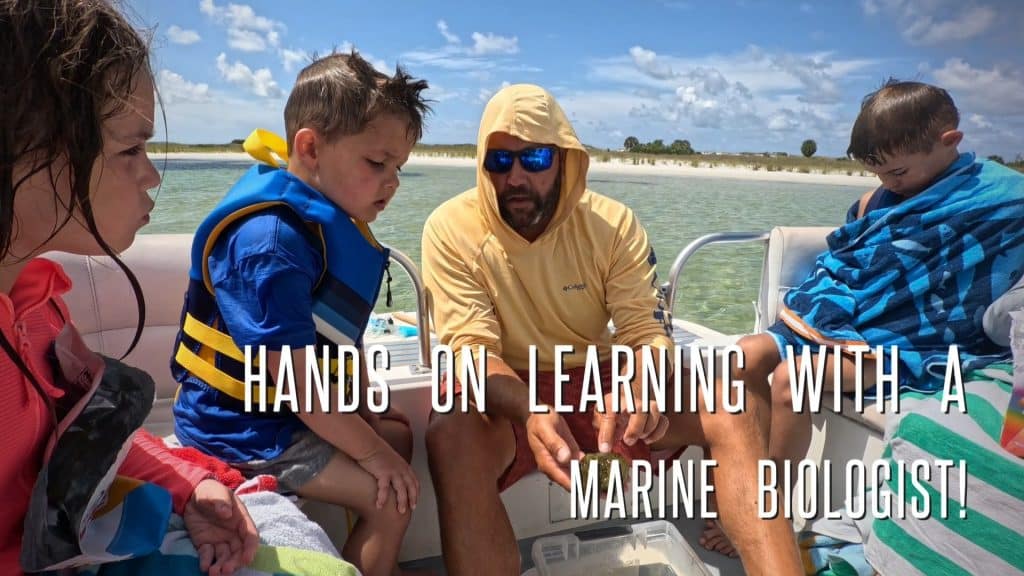 Children participating in hands-on marine biology activities during a dolphin tour near Shell Island.
