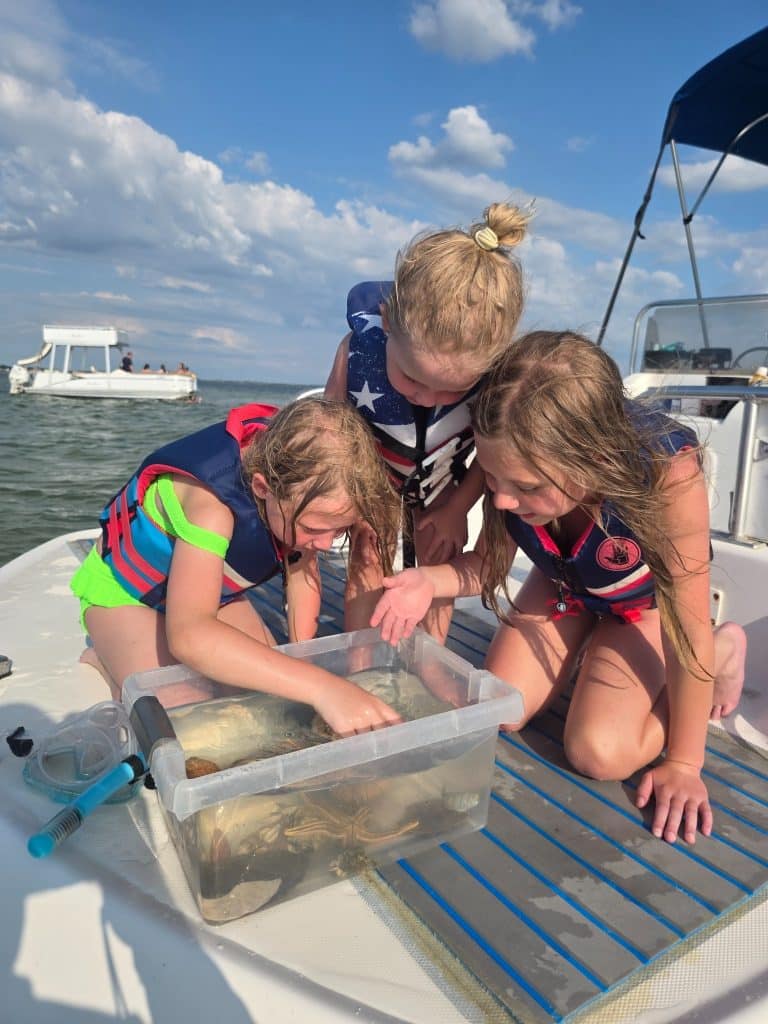 Children examining marine life in a touch tank during a marine biologist dolphin tour.
