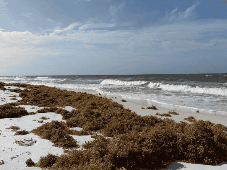Blog Header-3