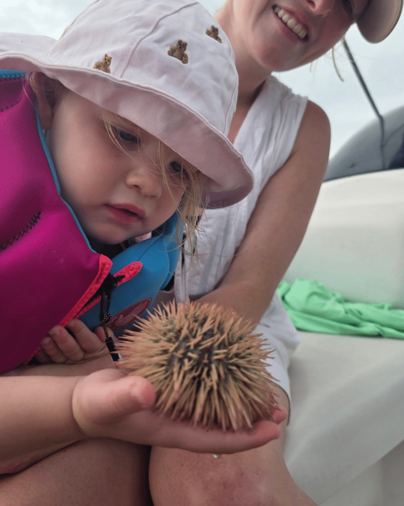 Young child getting a close look at a variegated sea urchin on a Flippin' Awesome Adventures boat tour in Panama City Beach